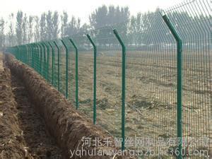 厂家专业生产圈地护栏网 铁丝围栏网图片-河北千智丝网制品有限公司 -